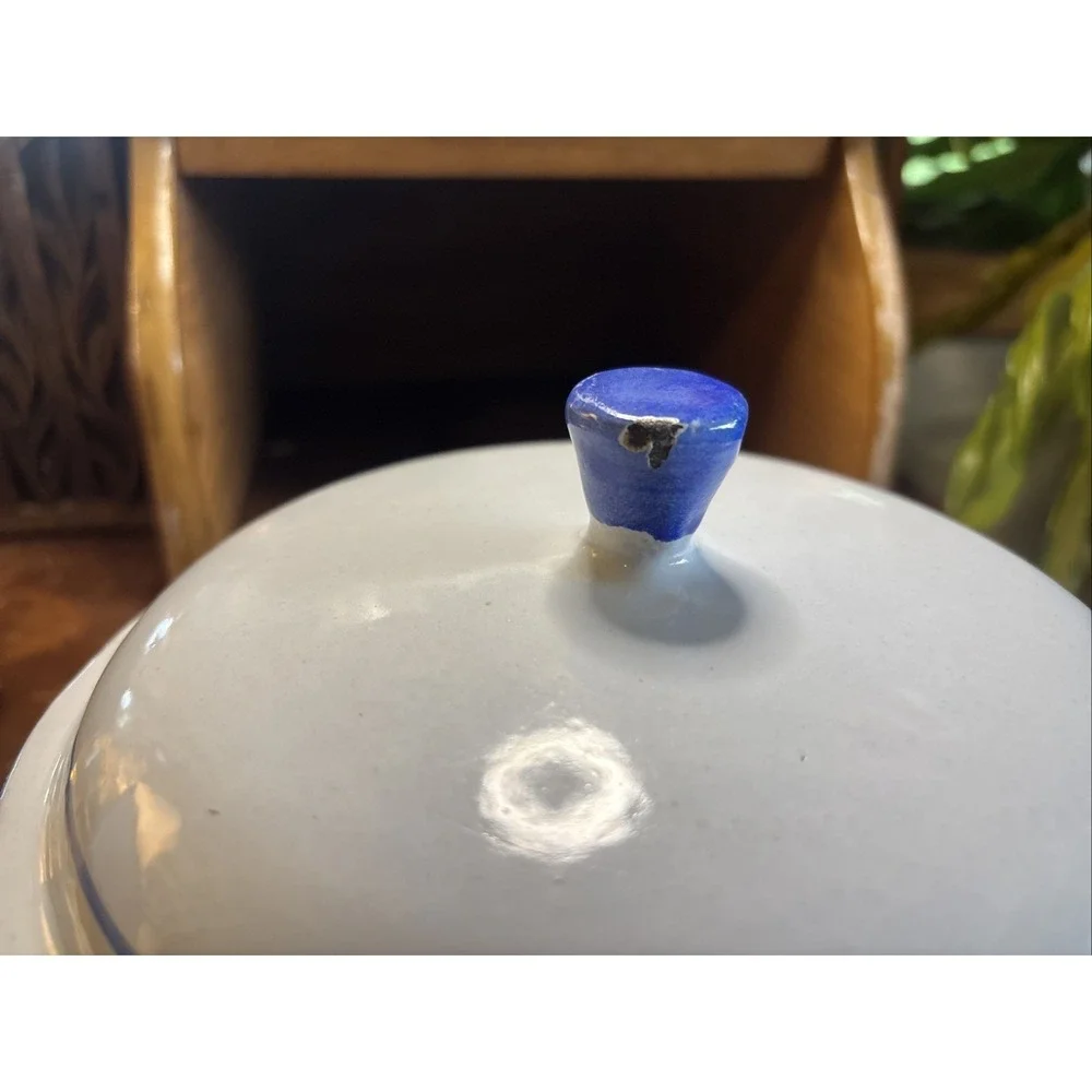 Husqvarna Sweden Cast Iron Enamelware BLUE BIRDS ~ 7.5